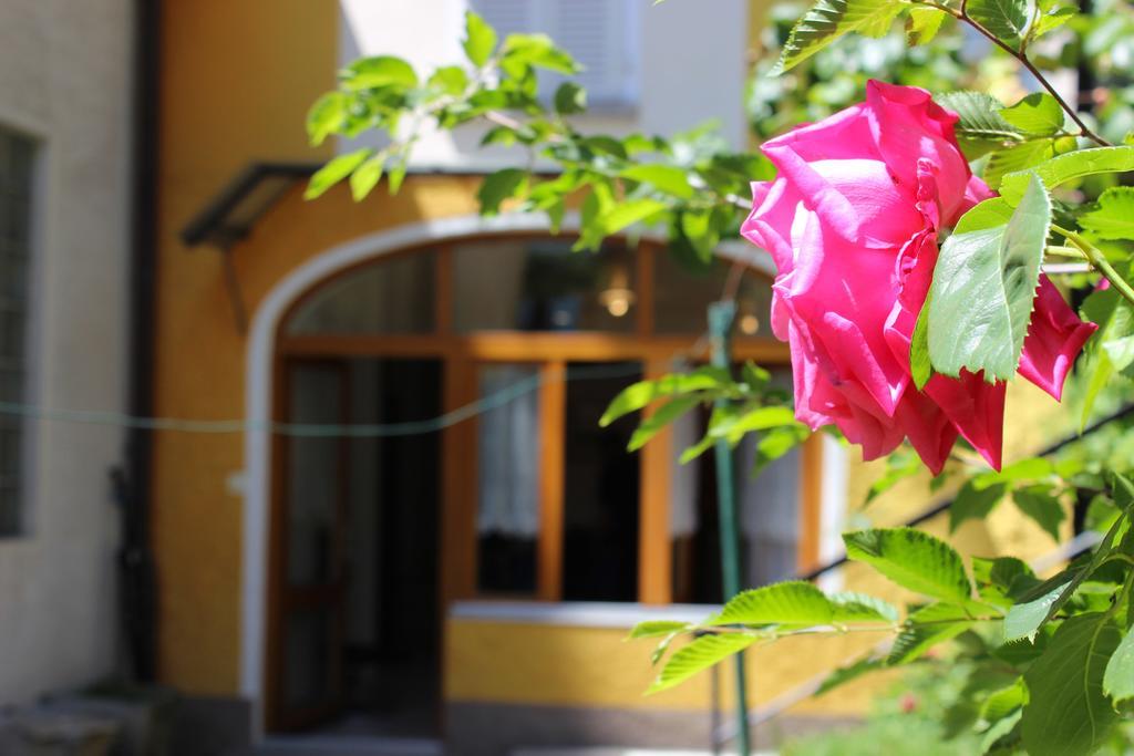 Rose By Quokka 360 - Refined Two-bedroom With Garden * Lugano